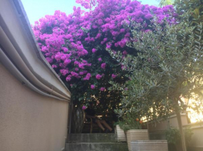 B&B La Bougainvillea Andria